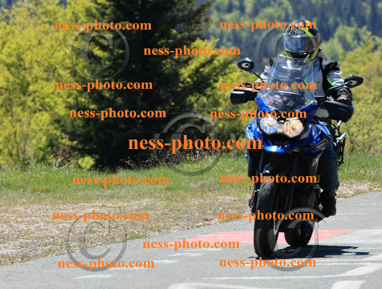 Col du Grand Colombier (169).JPG