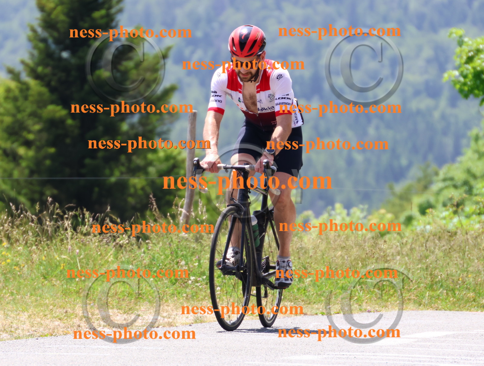 Col du grand Colombier (2744).JPG