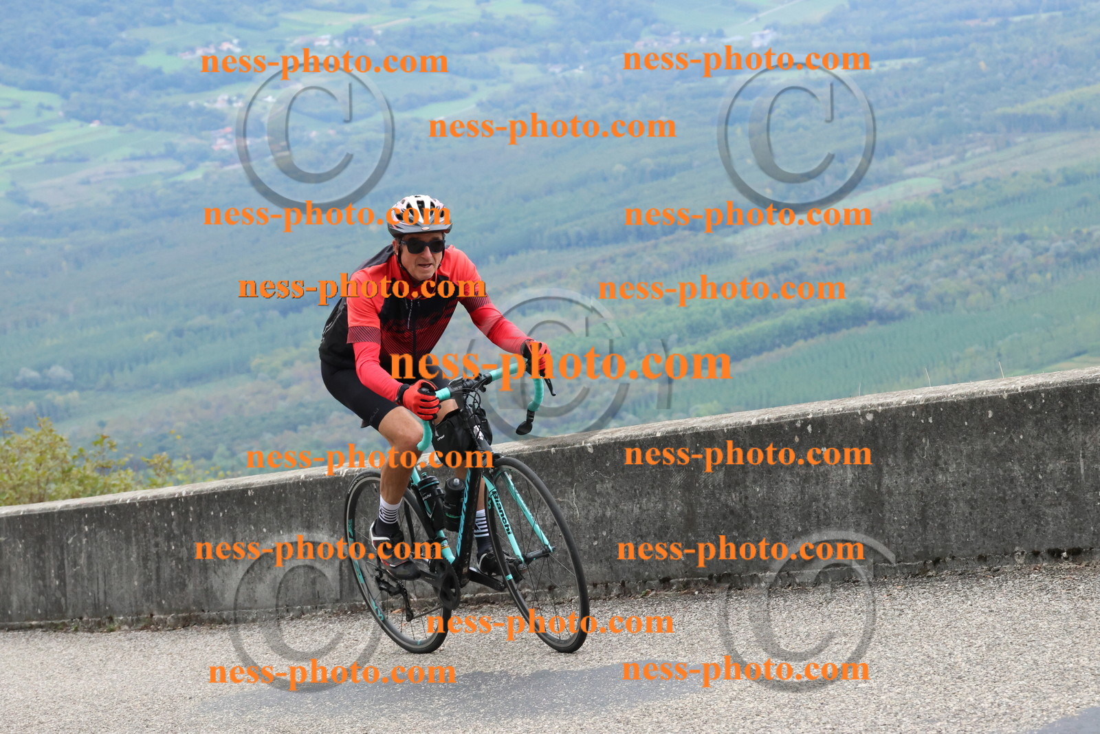 Col du Grand Colombier (323).JPG