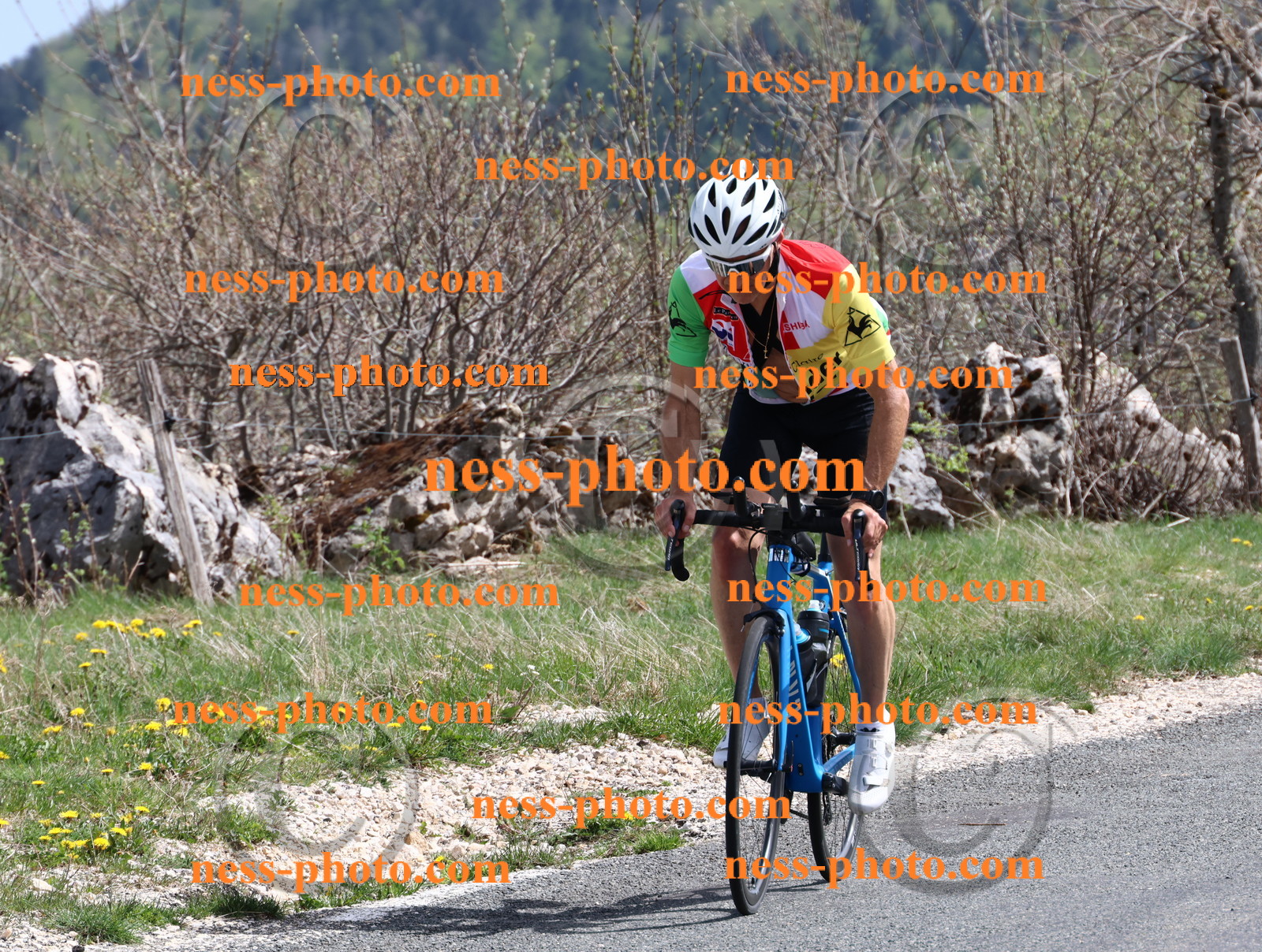 Col du Grand Colombier (999).JPG