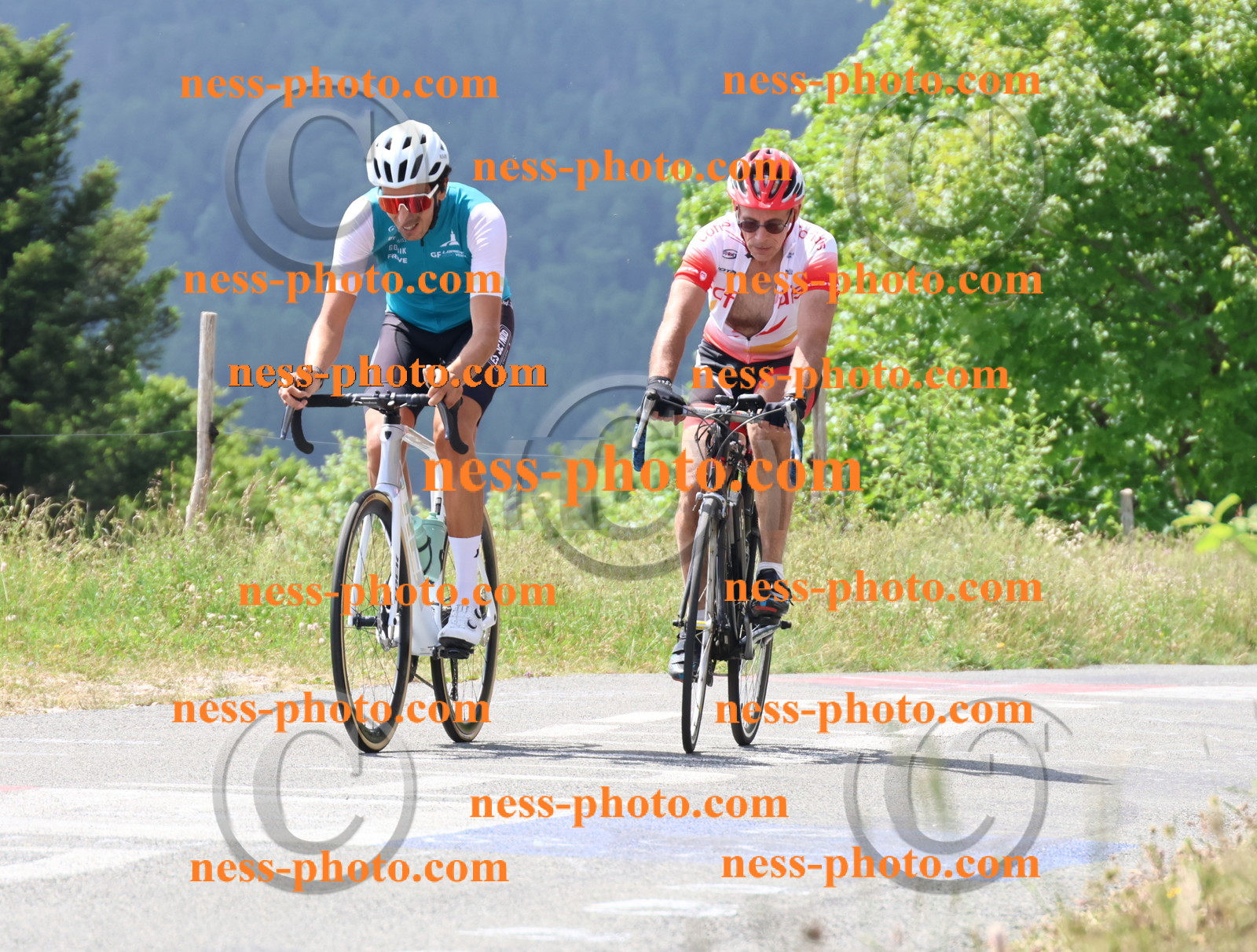 Col du grand Colombier (1859).JPG