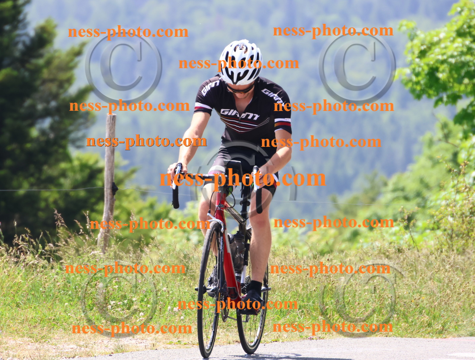 Col du grand Colombier (2431).JPG