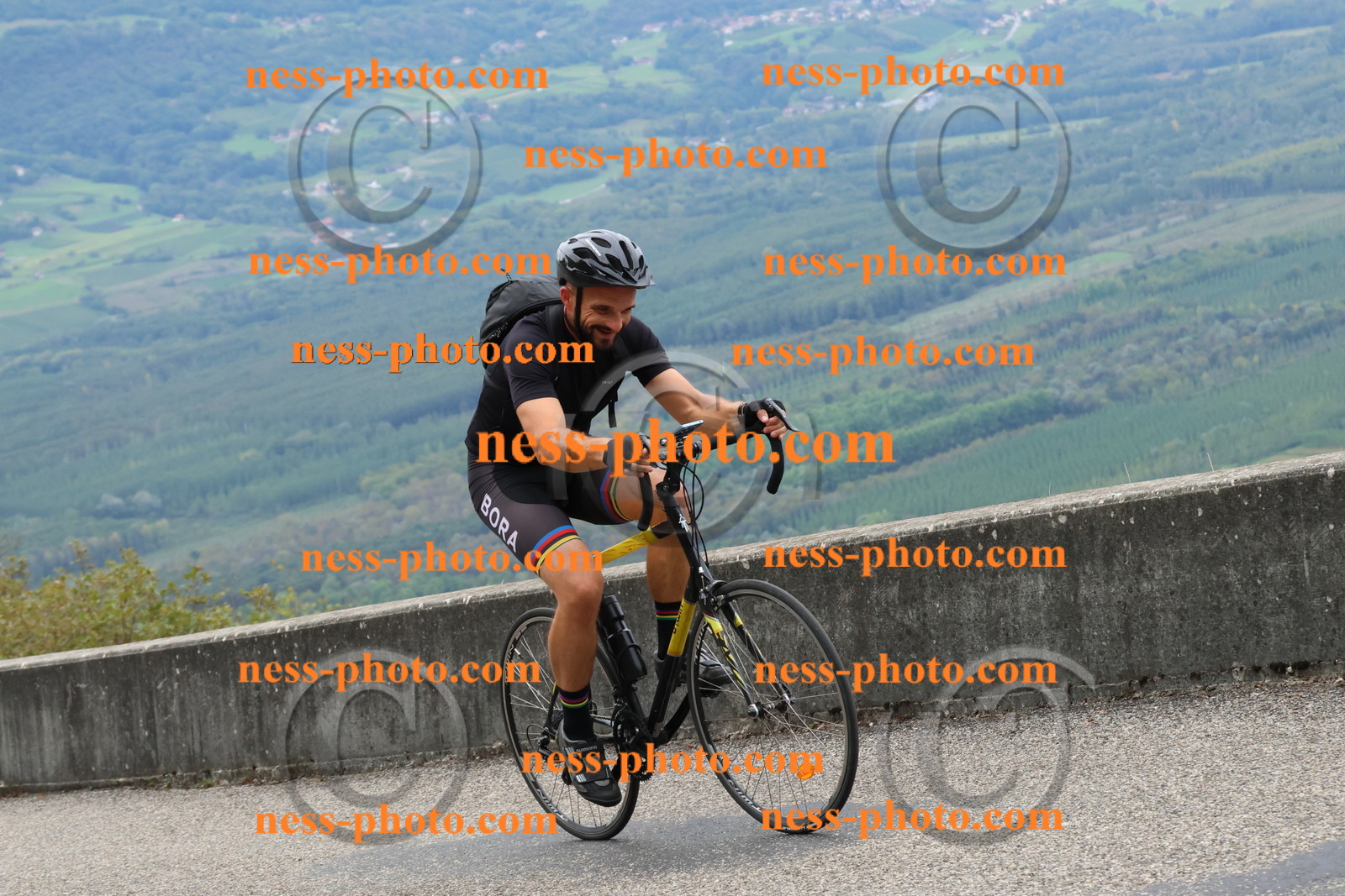 Col du Grand Colombier (1597).JPG