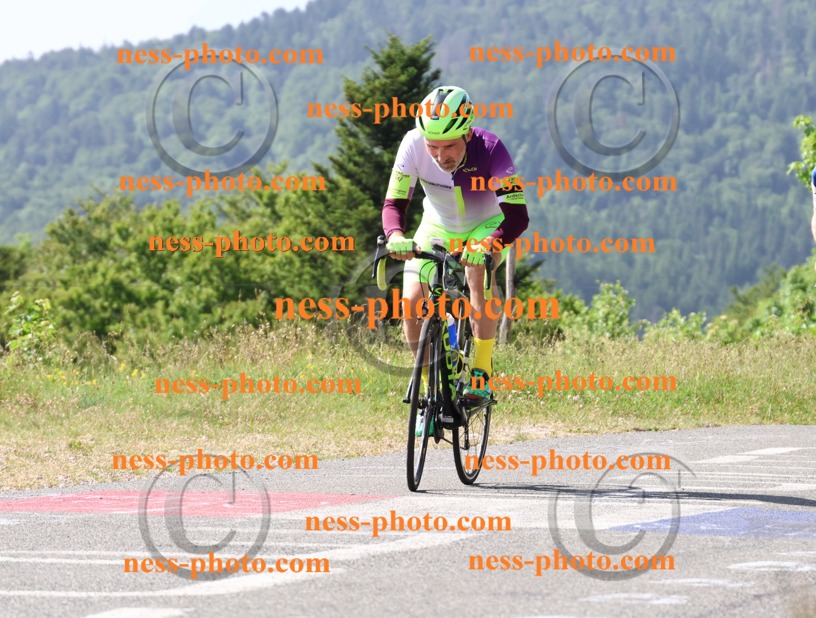 Col du grand Colombier (550).JPG