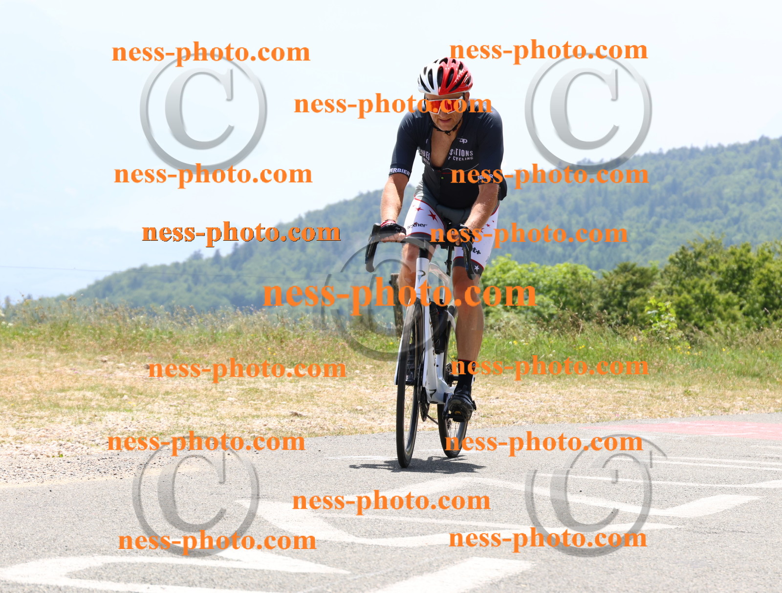 Col du grand Colombier (2944).JPG