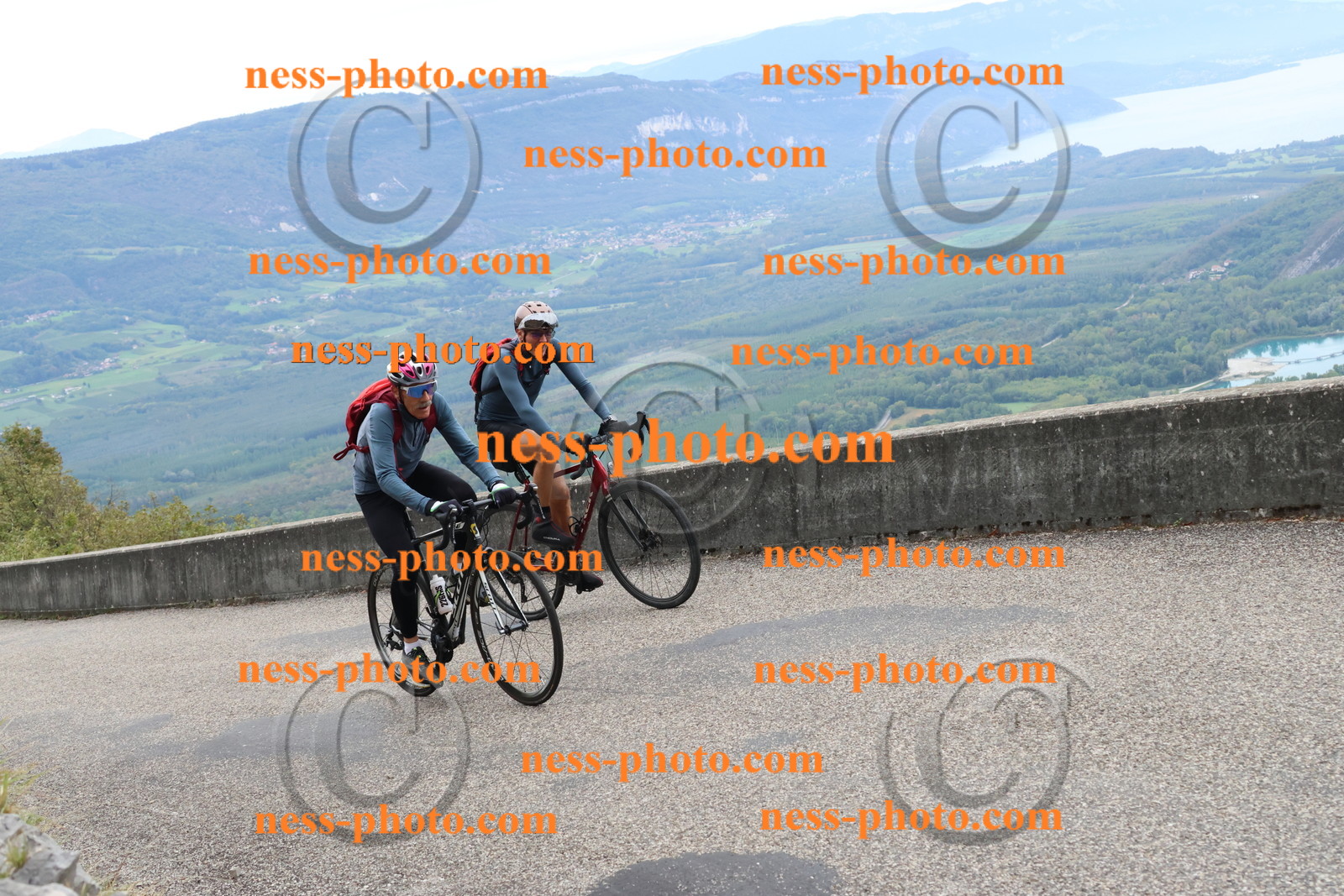 Col du Grand Colombier (906).JPG