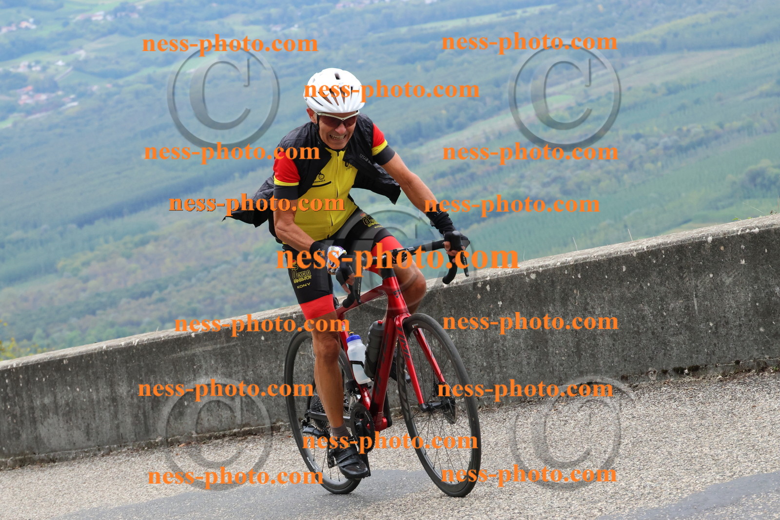 Col du Grand Colombier (1540).JPG