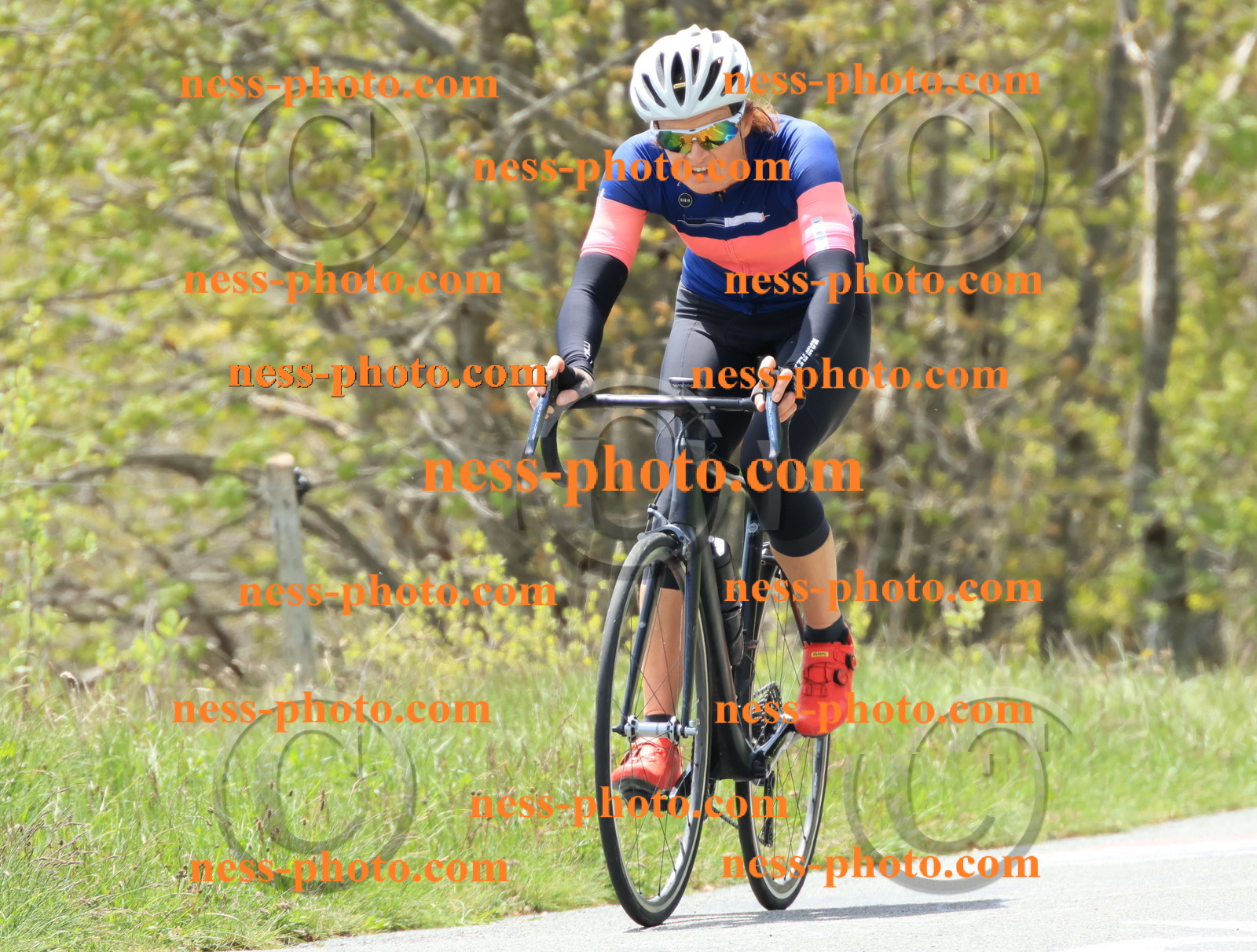 Col du Grand Colombier (316).JPG