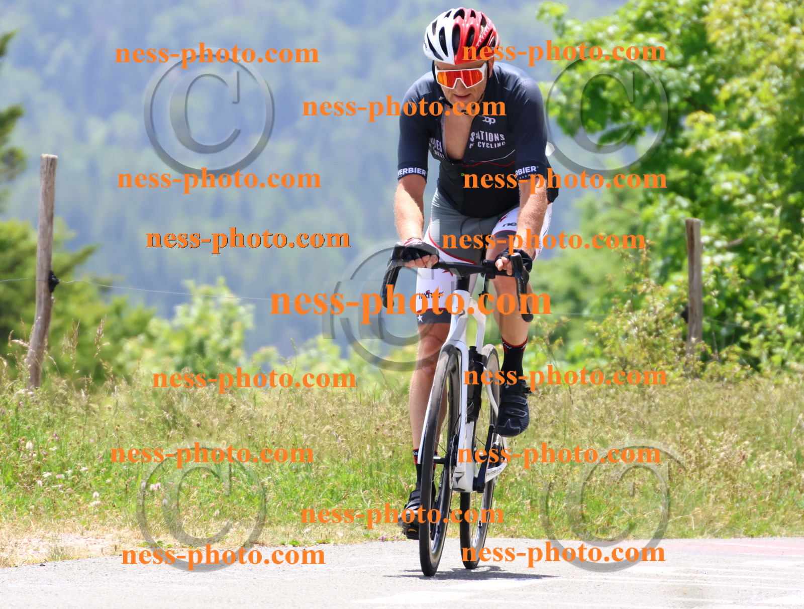 Col du grand Colombier (2941).JPG