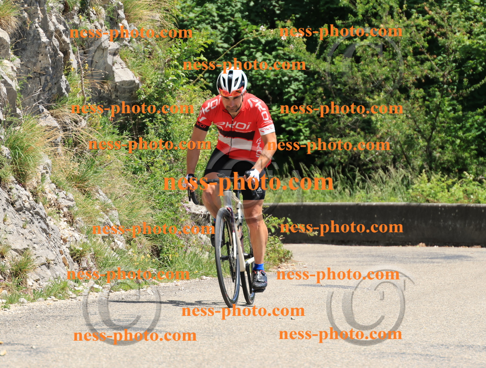 Col du Grand Colombier (627).JPG