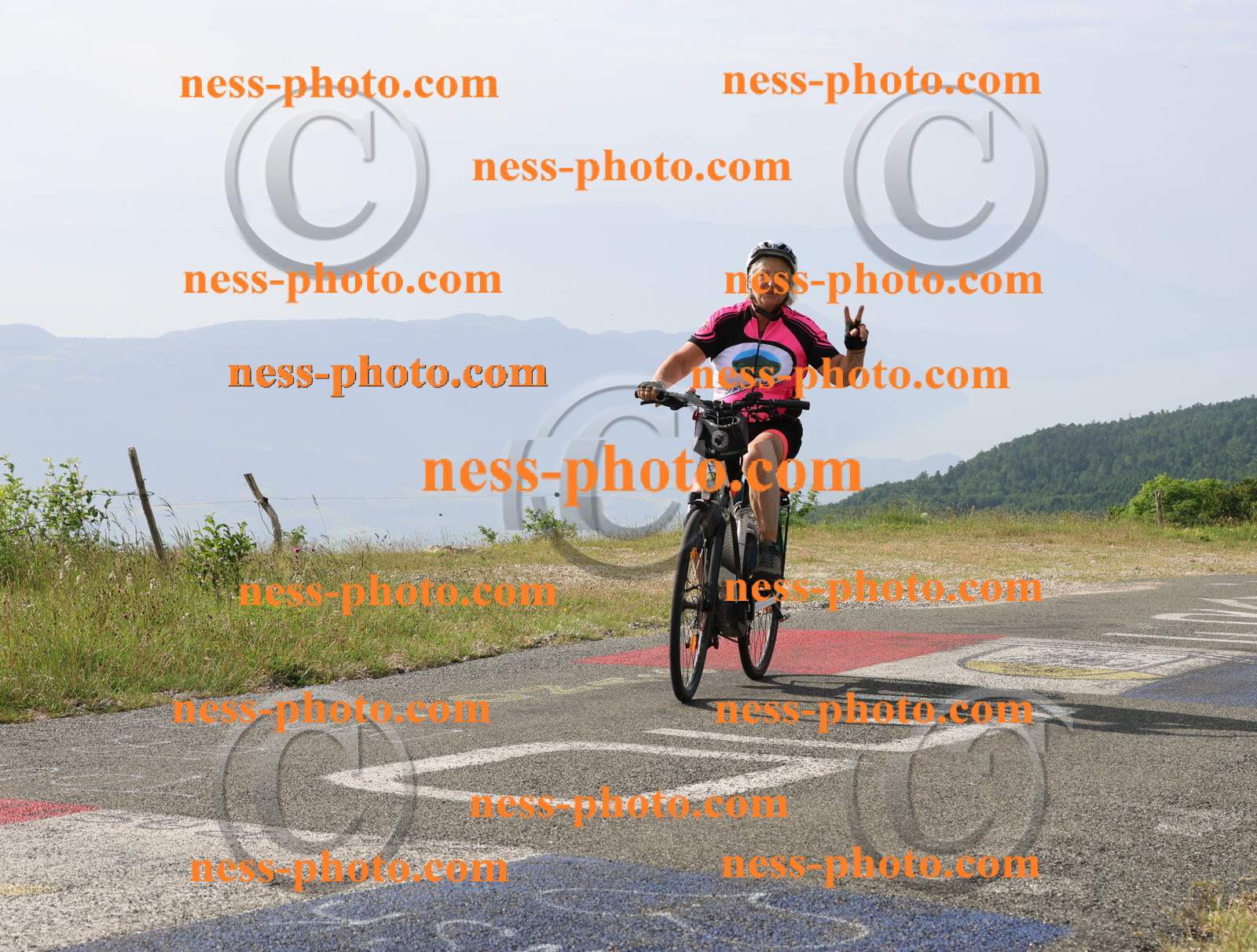 Col du grand Colombier (39).JPG