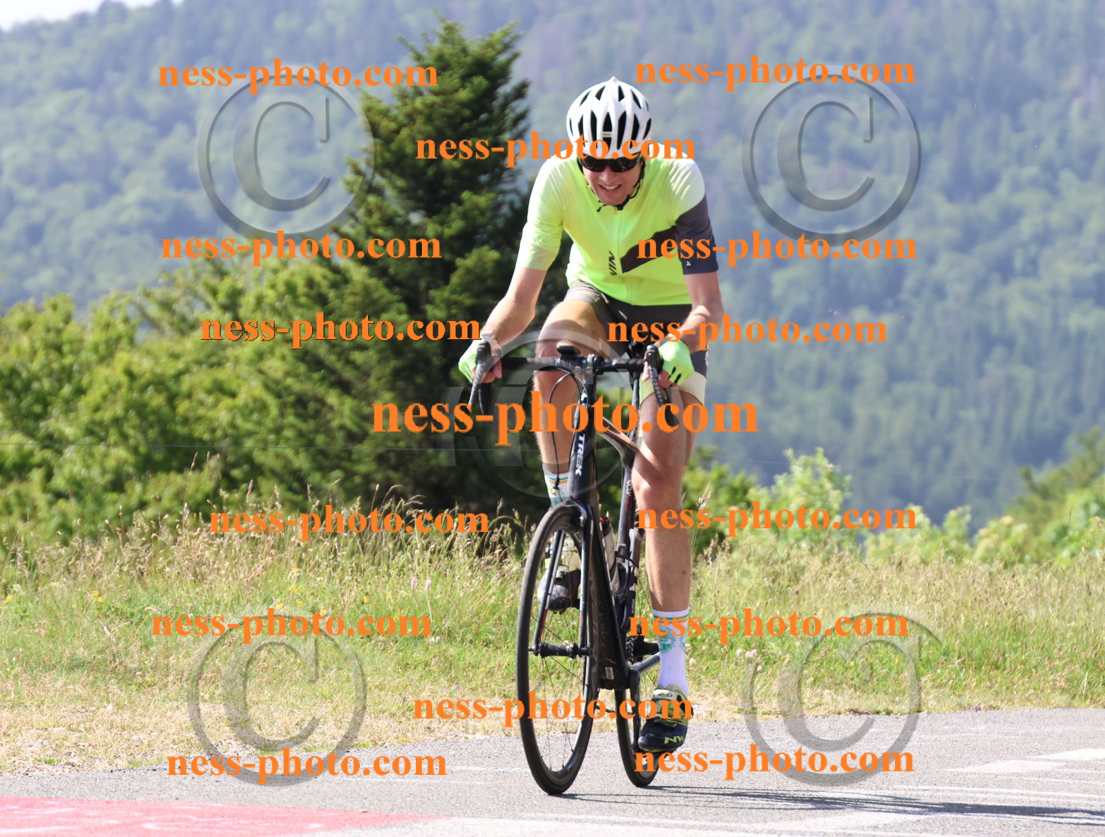 Col du grand Colombier (510).JPG