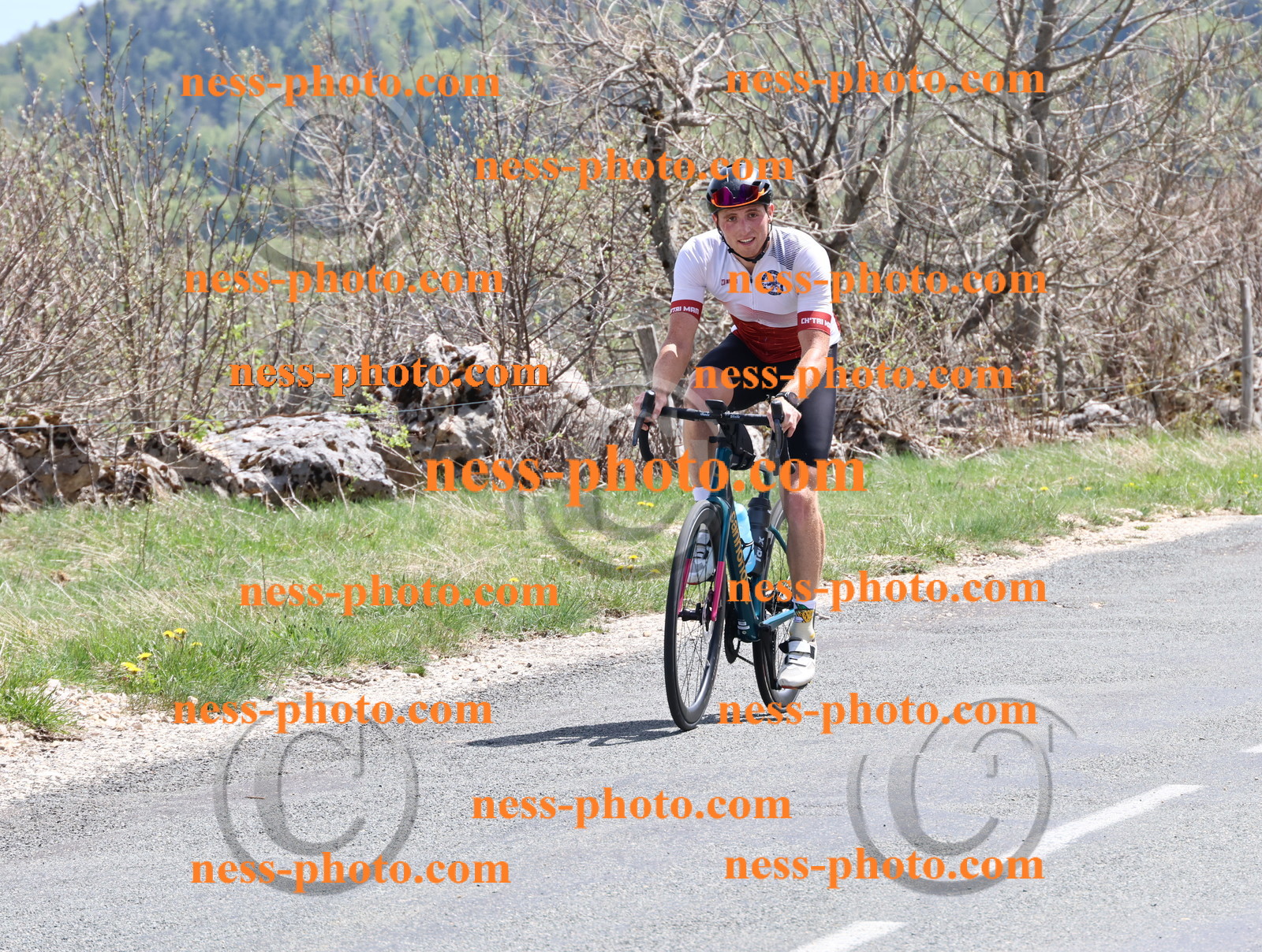Col du Grand Colombier (842).JPG