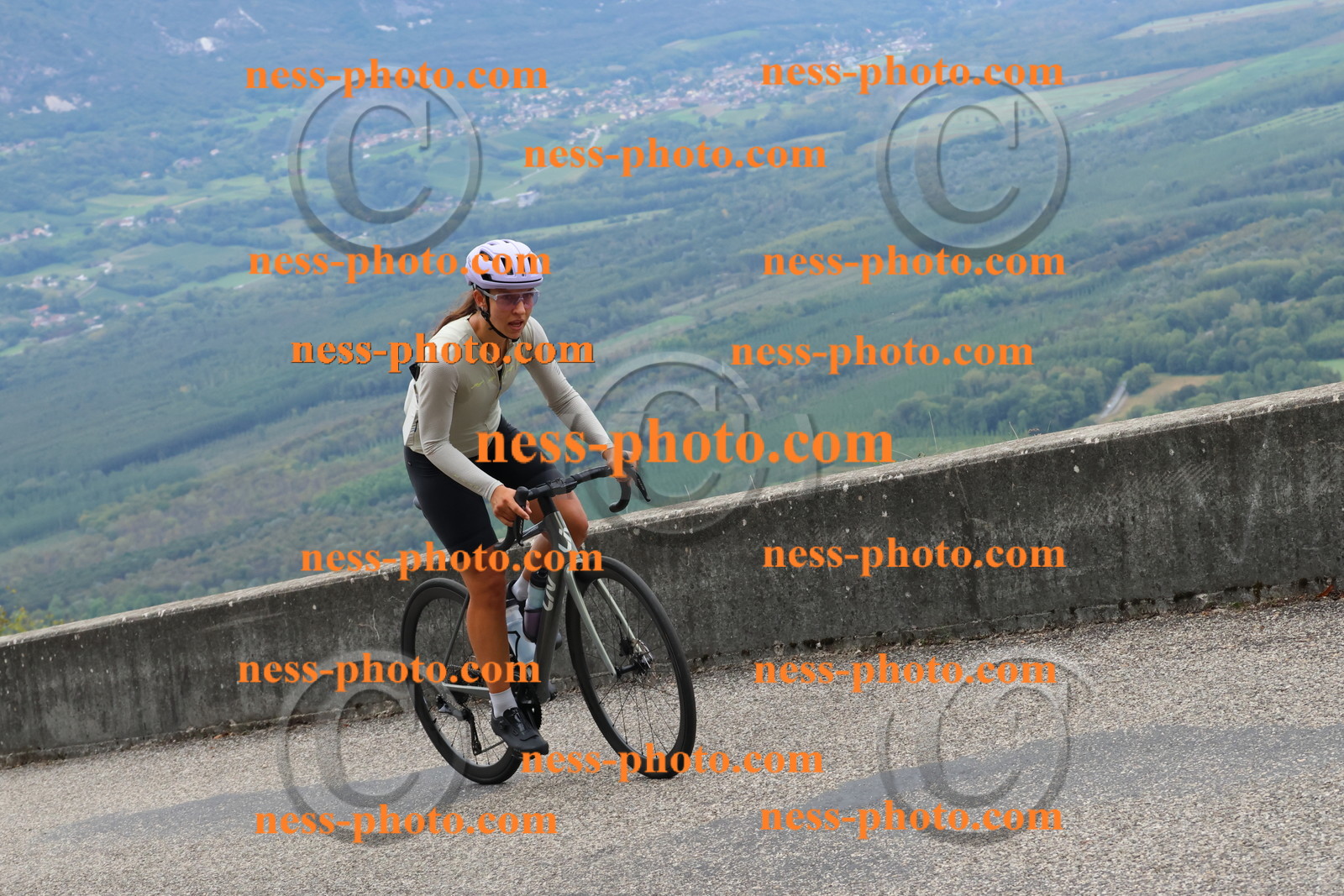 Col du Grand Colombier (1637).JPG