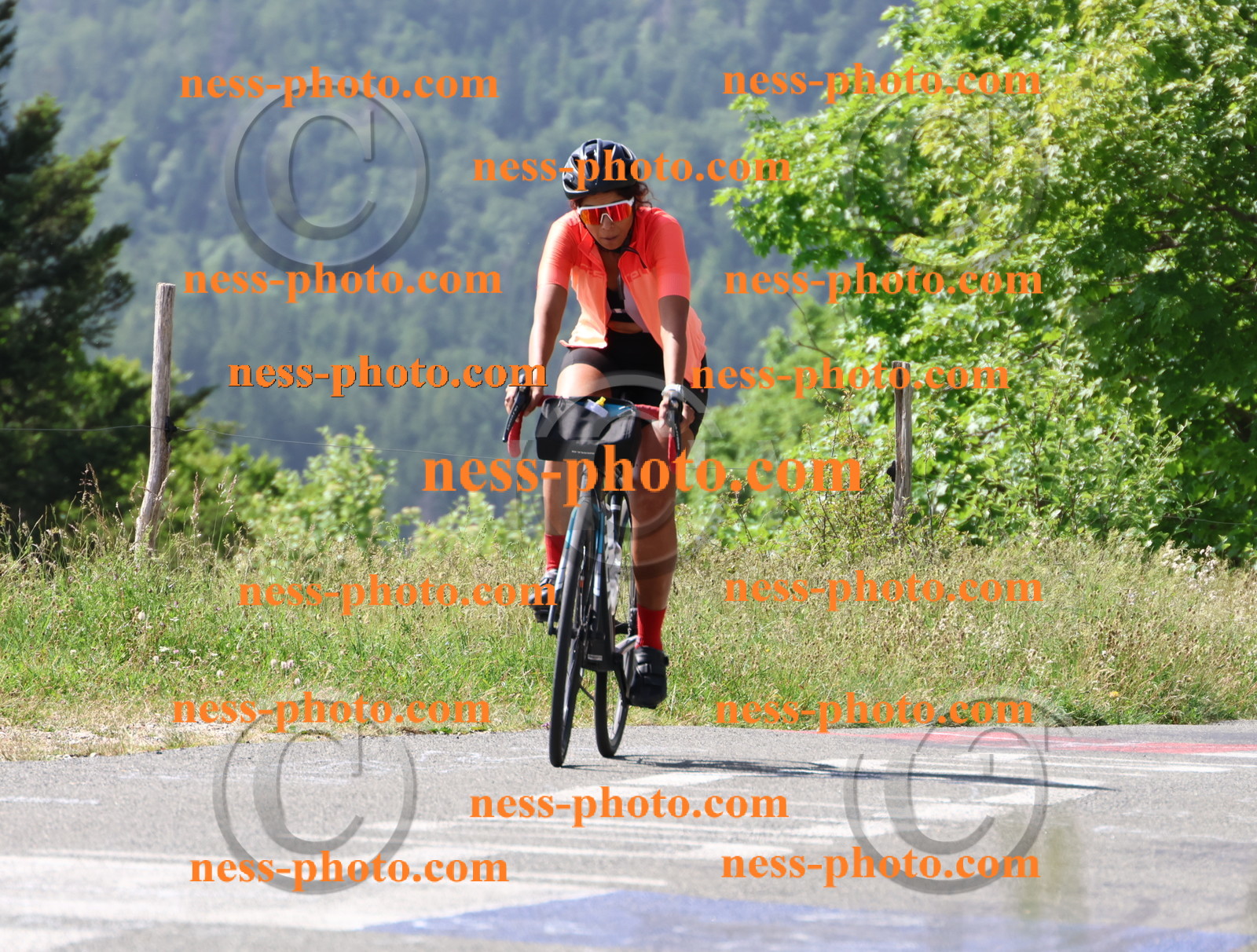 Col du grand Colombier (976).JPG