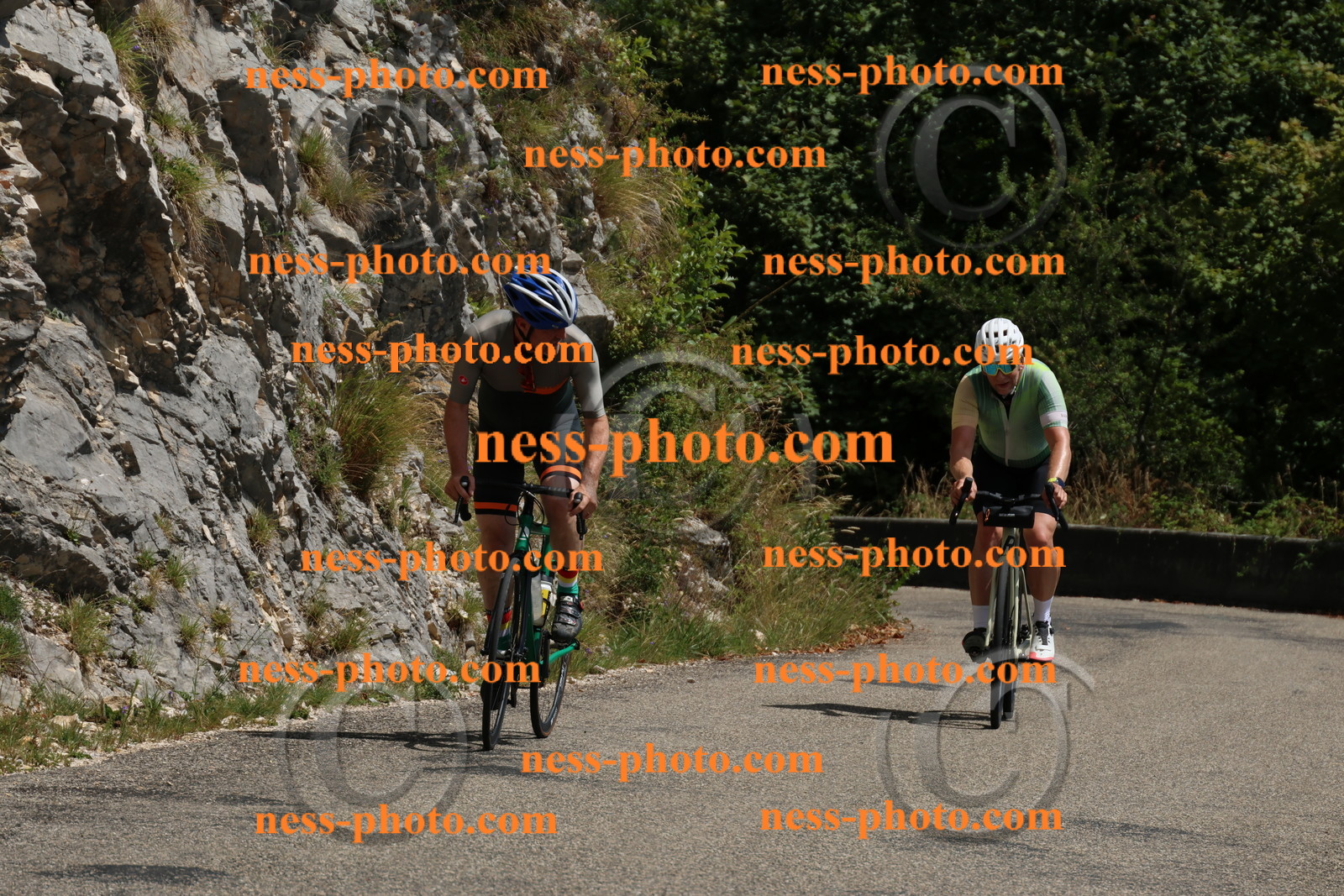 Col du Grand Colombier (385).JPG
