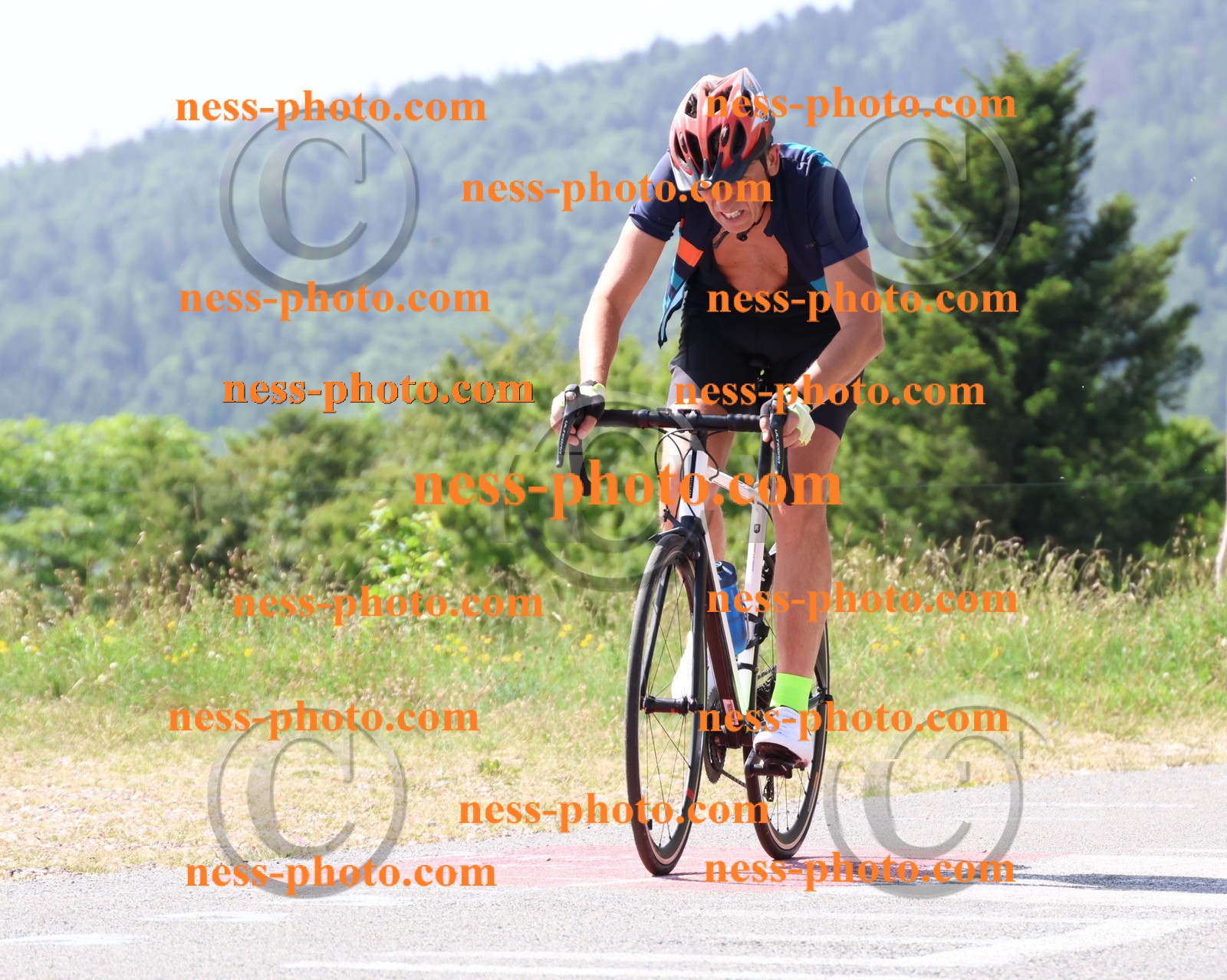 Col du grand Colombier (1199).JPG