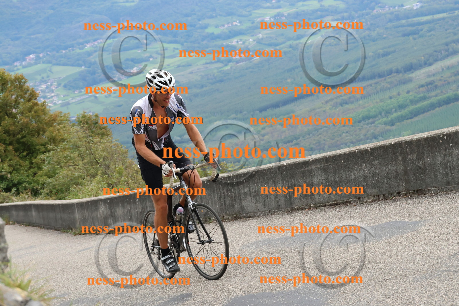 Col du Grand Colombier (2490).JPG