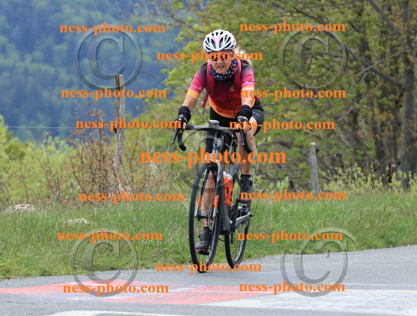 Col du Grand Colombier (410).JPG