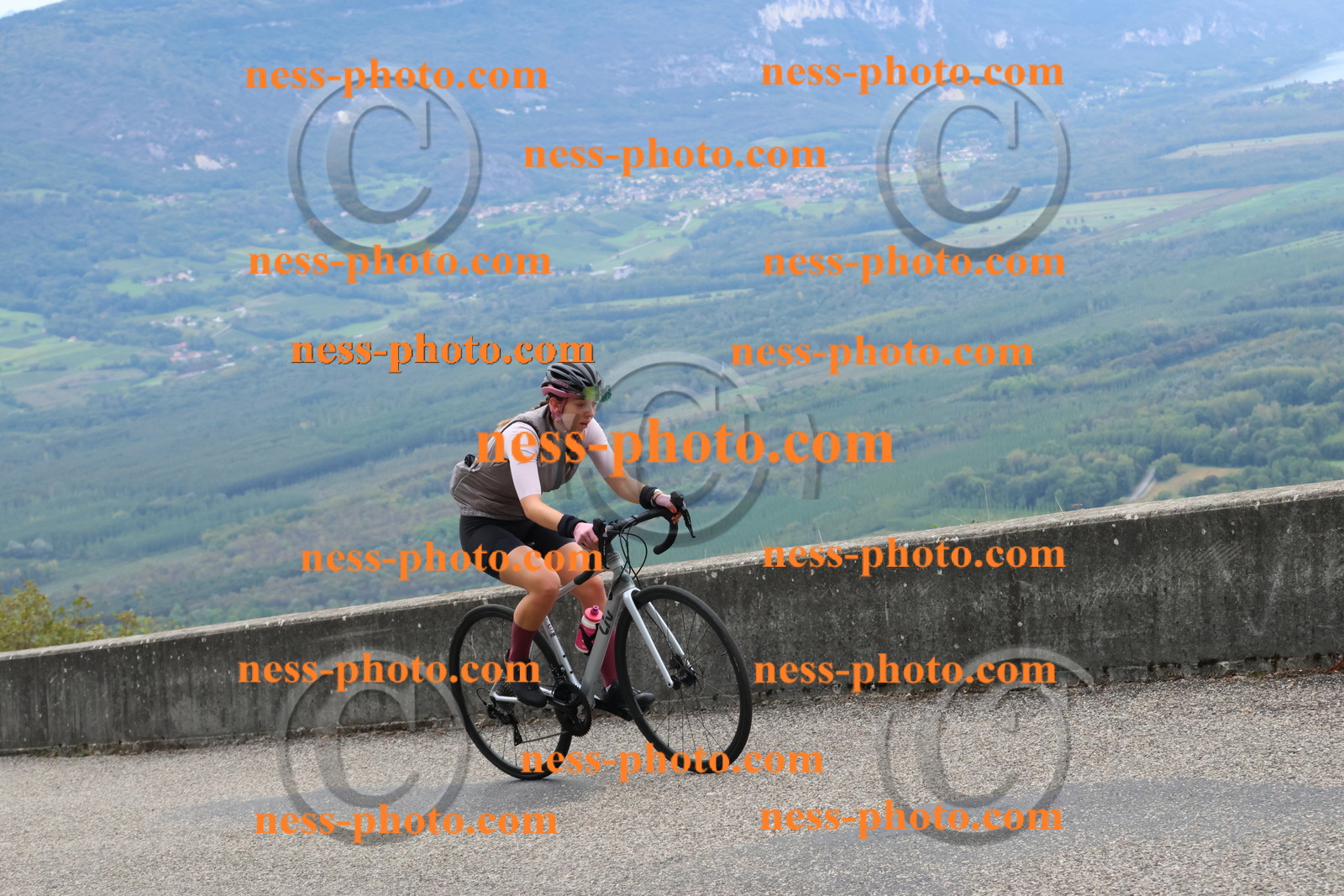 Col du Grand Colombier (1389).JPG