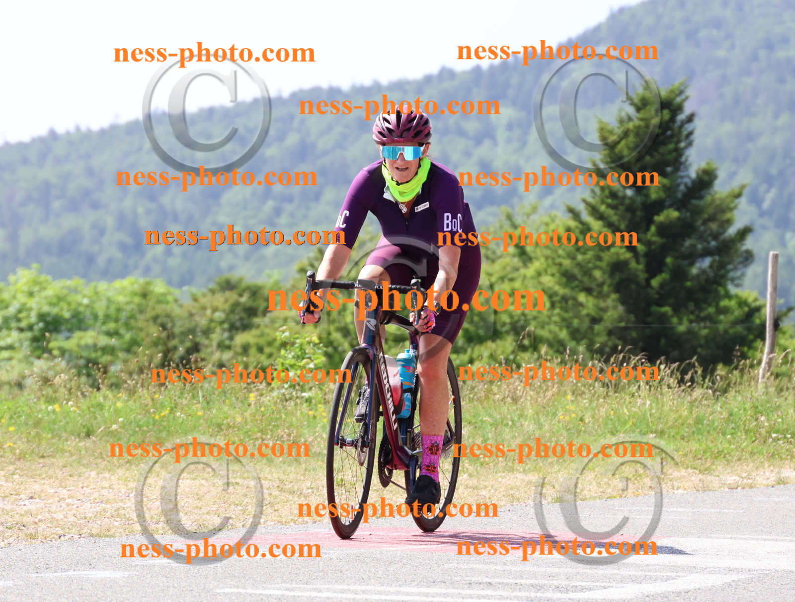 Col du grand Colombier (1319).JPG