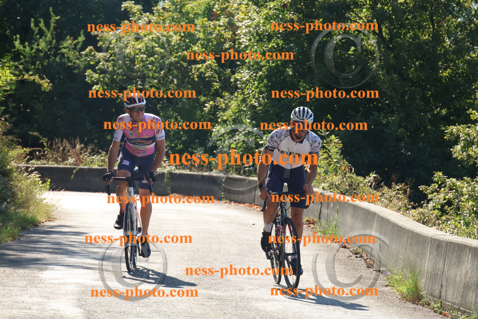 Col du Grand Colombier (16).JPG