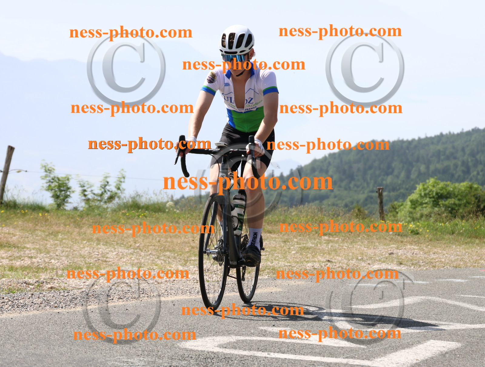 Col du grand Colombier (948).JPG