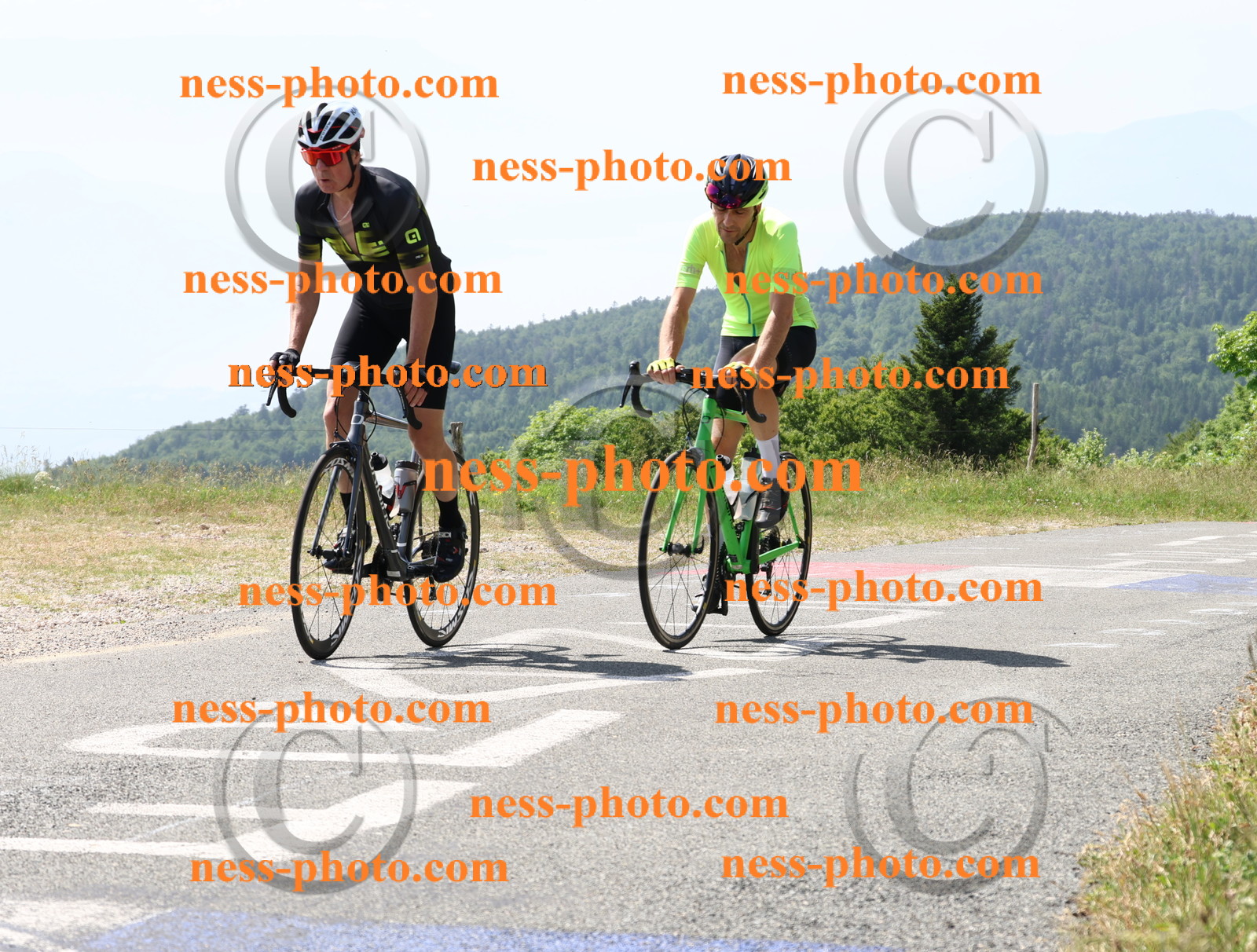 Col du grand Colombier (1388).JPG