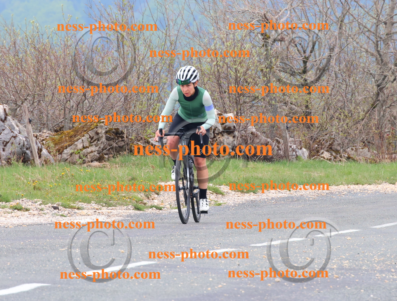 Col du Grand Colombier (266).JPG