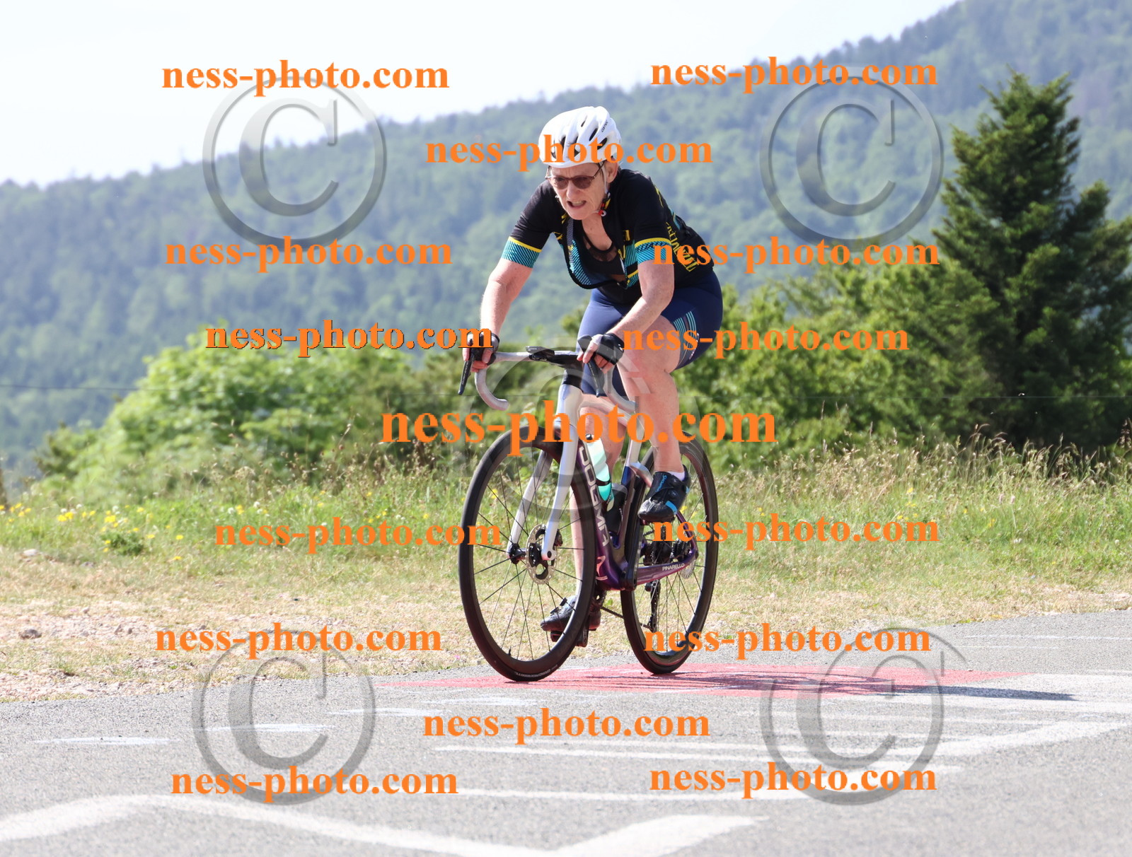 Col du grand Colombier (761).JPG