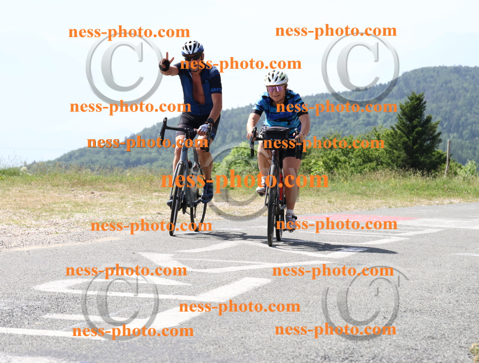 Col du grand Colombier (1244).JPG