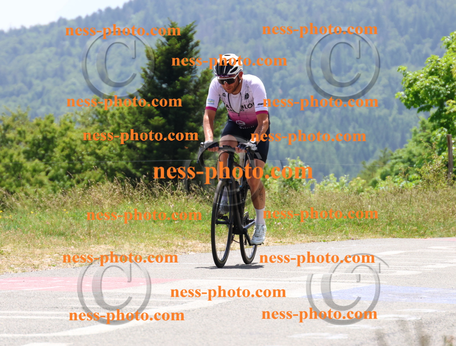 Col du grand Colombier (3014).JPG