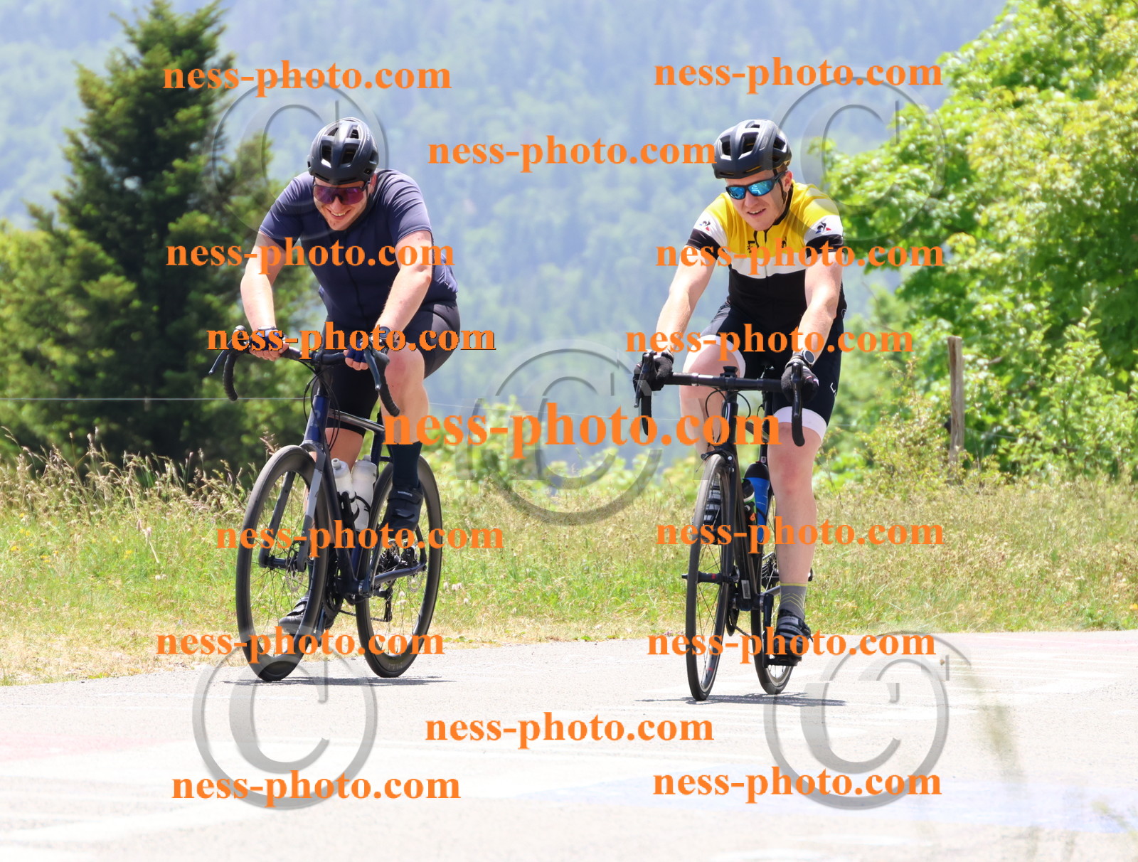 Col du grand Colombier (2950).JPG