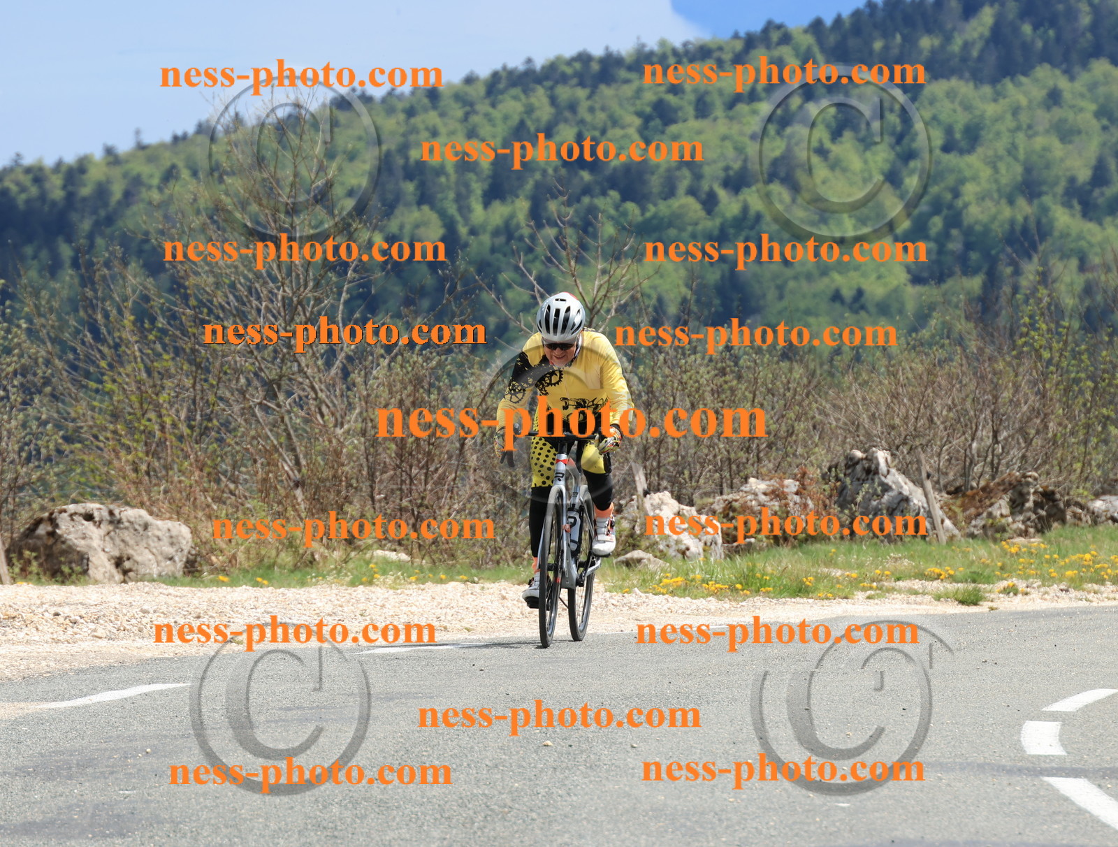 Col du Grand Colombier (3140).JPG