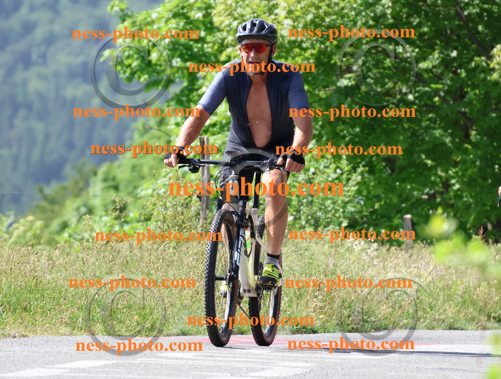 Col du grand Colombier (731).JPG