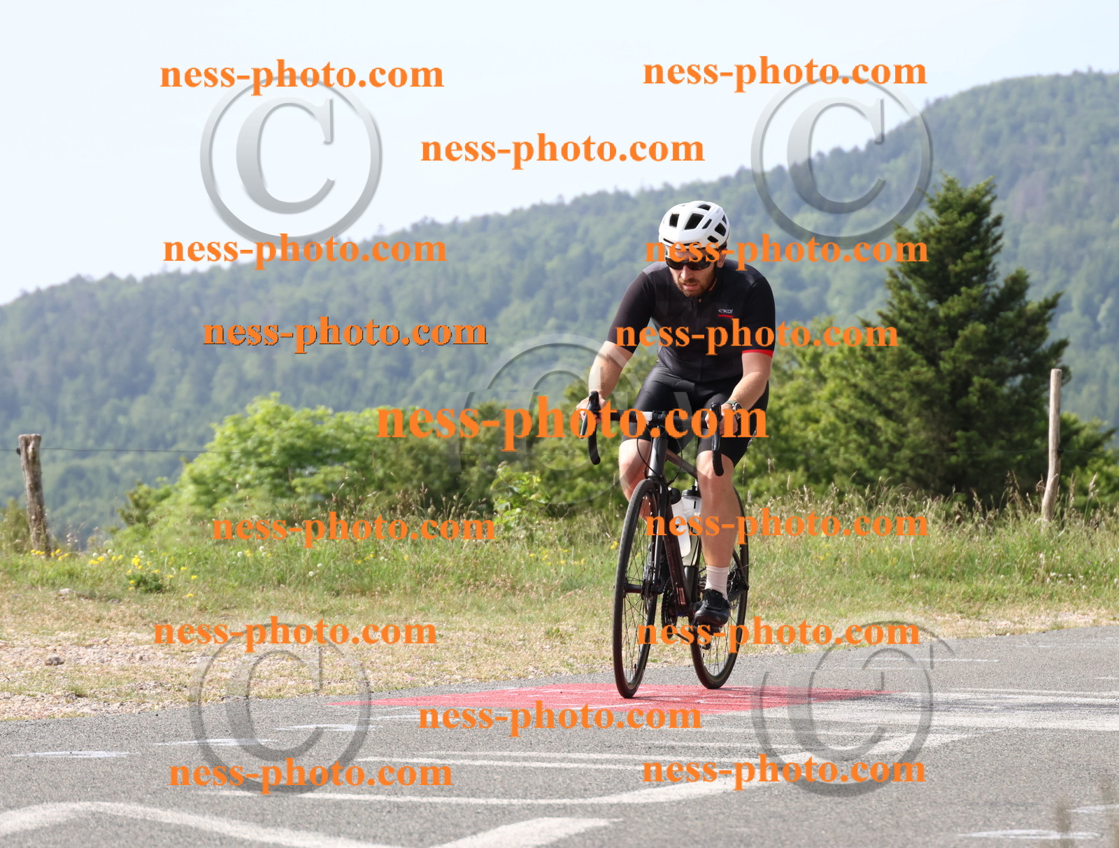 Col du grand Colombier (71).JPG