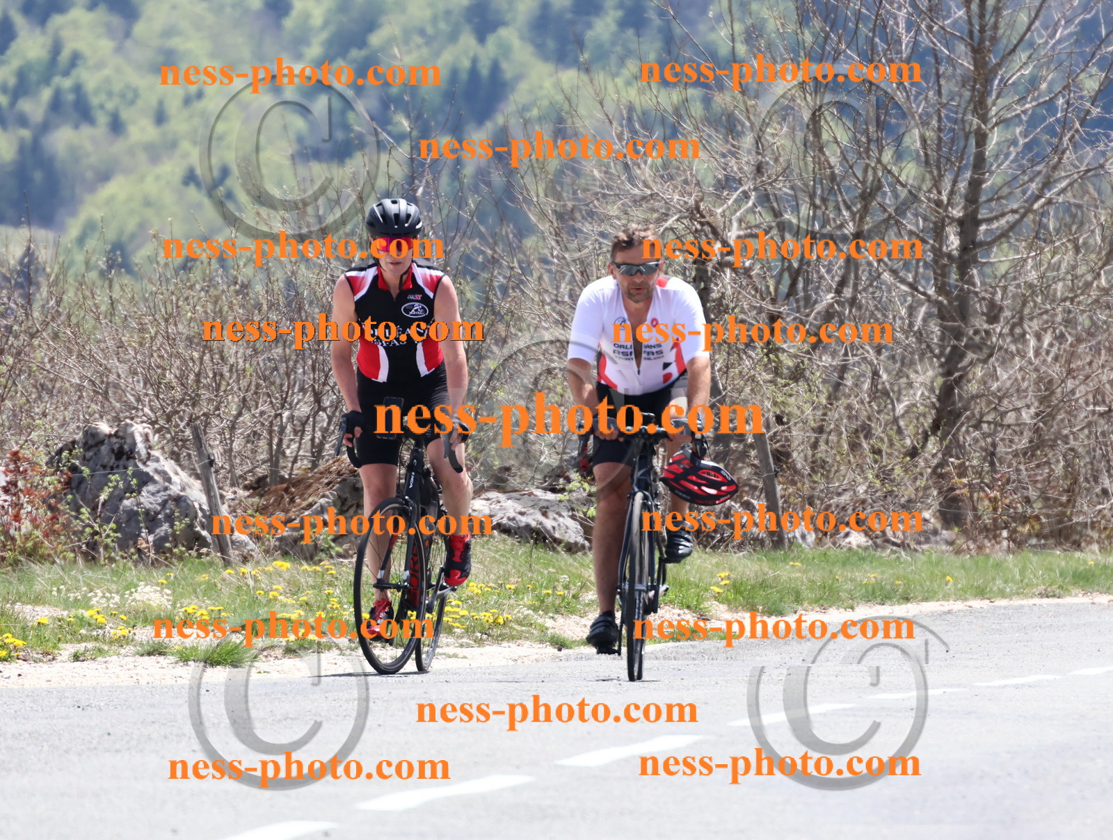 Col du Grand Colombier (723).JPG