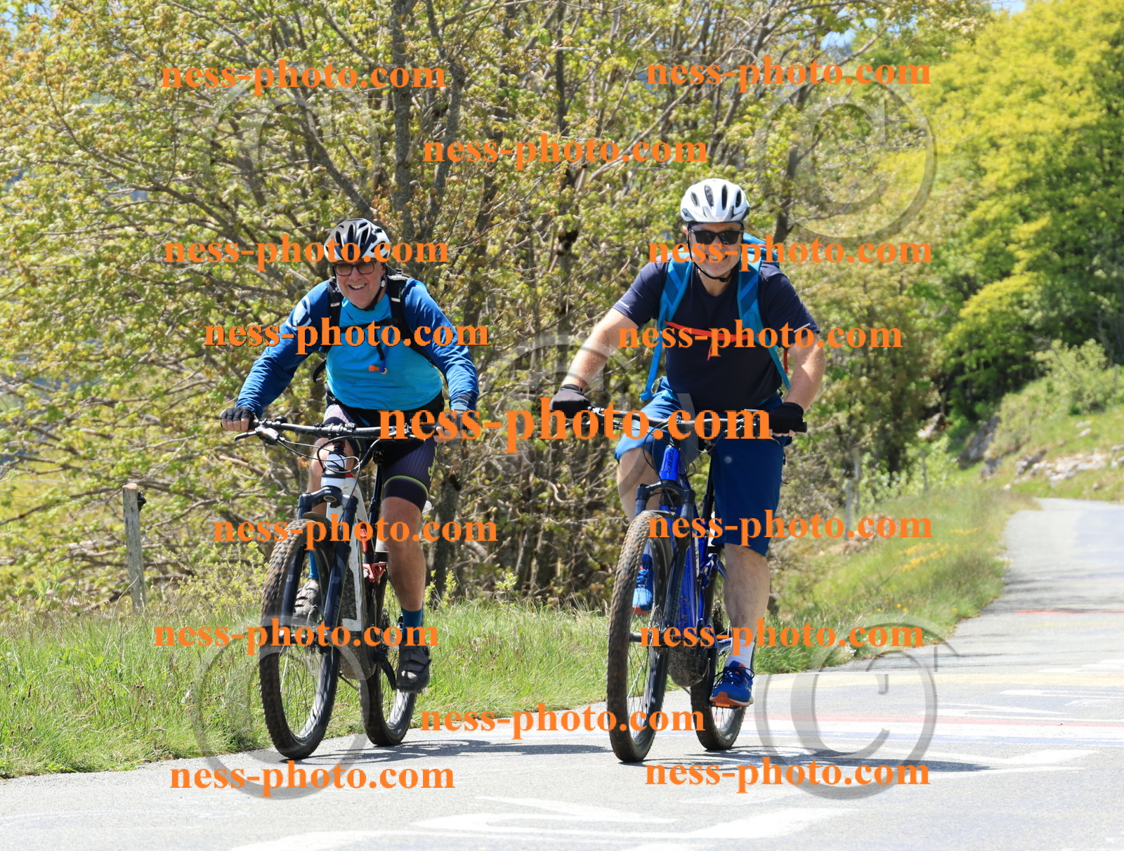 Col du Grand Colombier (123).JPG