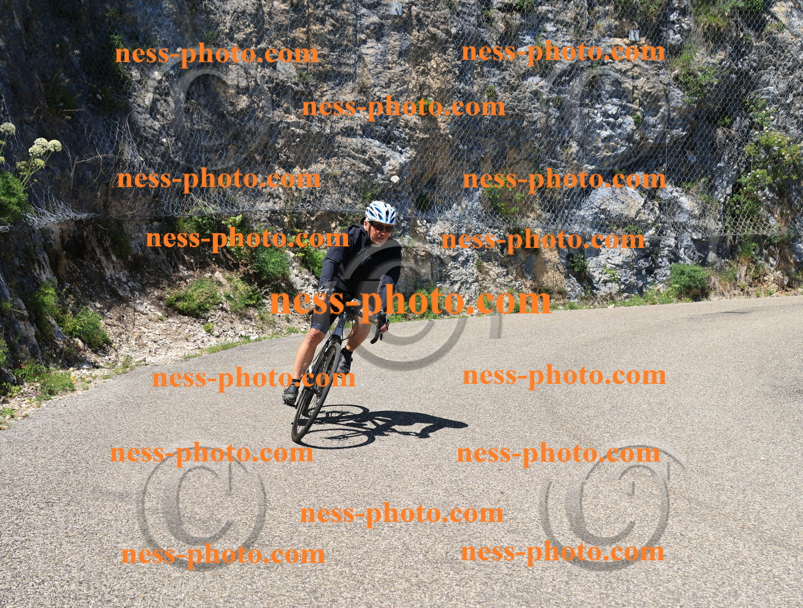 Col du Grand Colombier (682).JPG