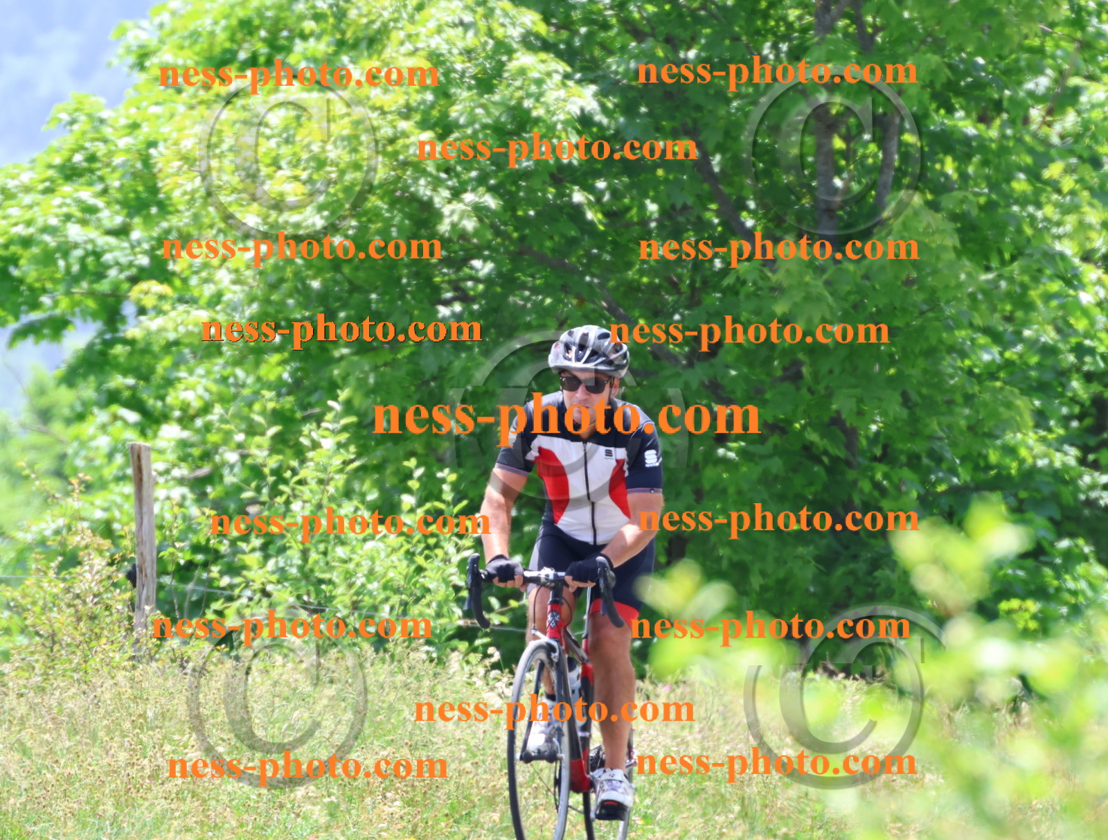 Col du grand Colombier (3005).JPG