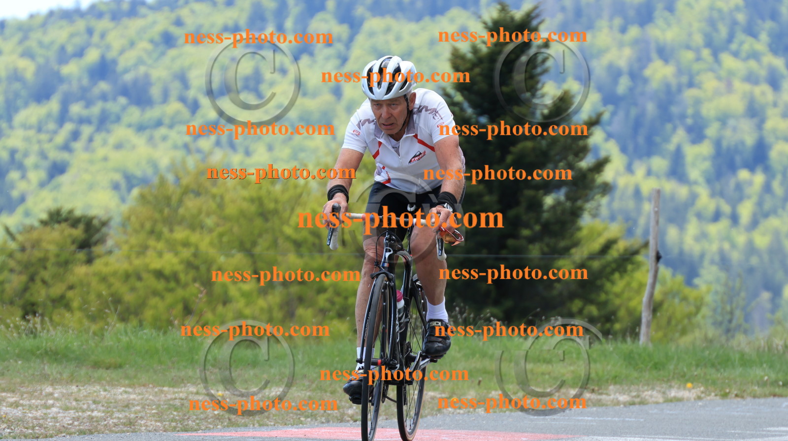 Col du grand Colombier (264).JPG