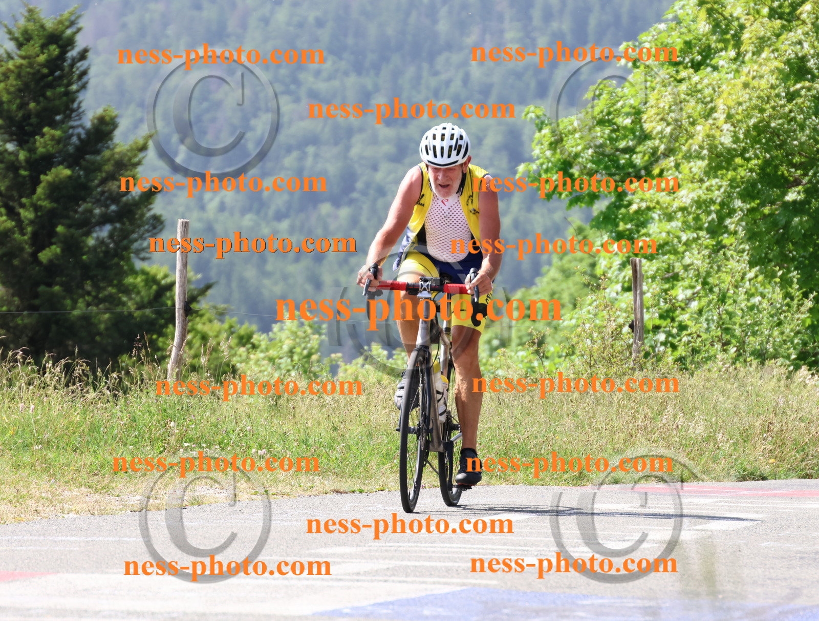 Col du grand Colombier (1052).JPG