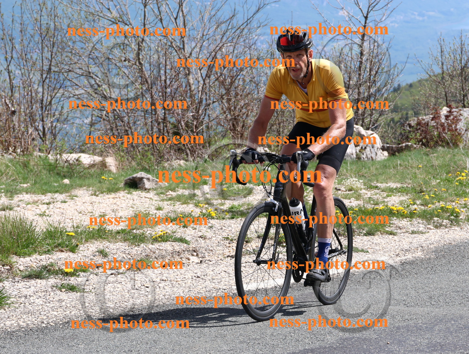 Col du Grand Colombier (916).JPG