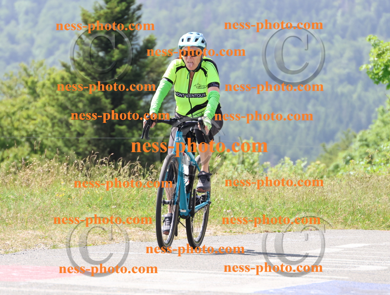 Col du grand Colombier (1677).JPG