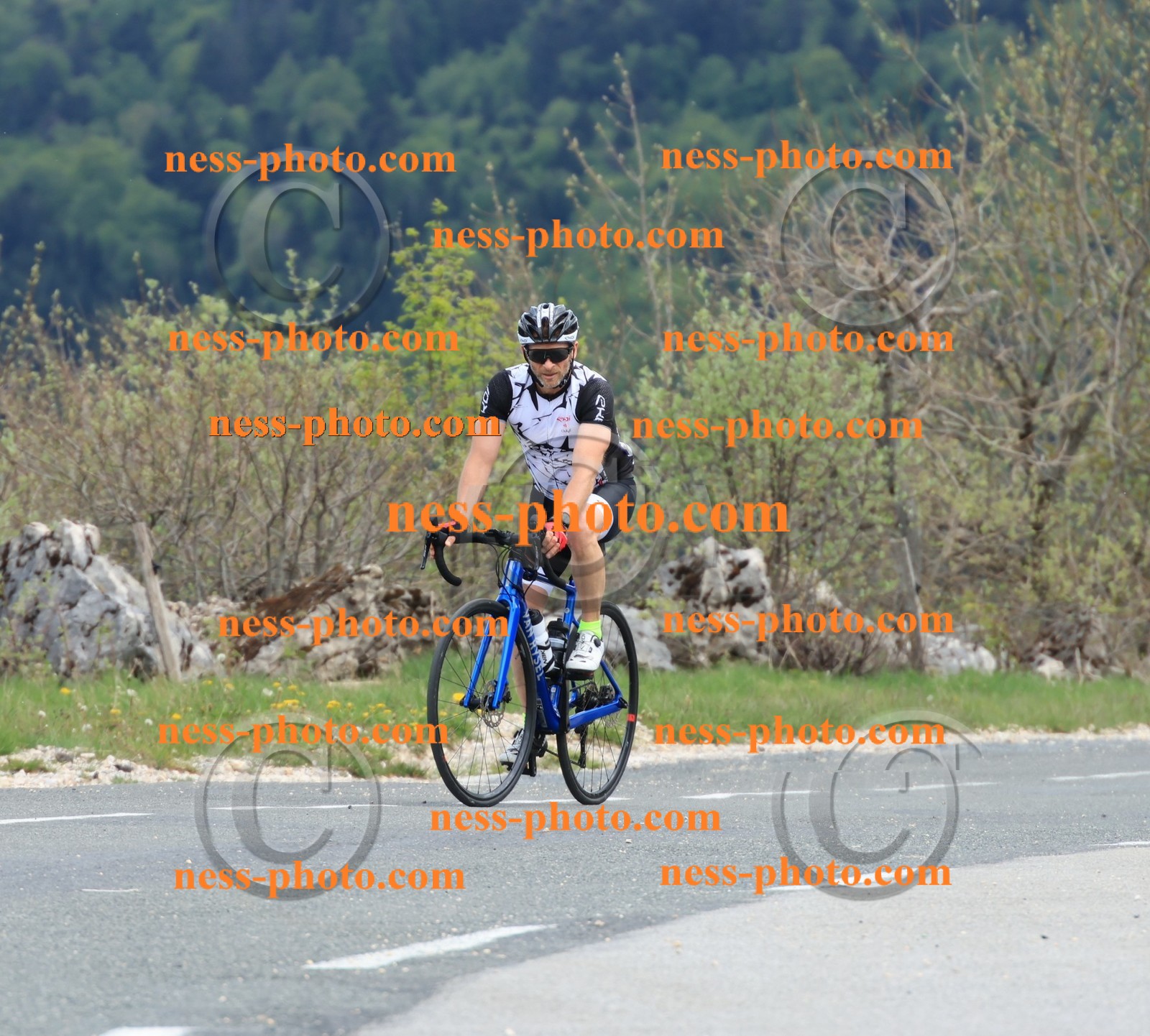 Col du grand Colombier (663).JPG