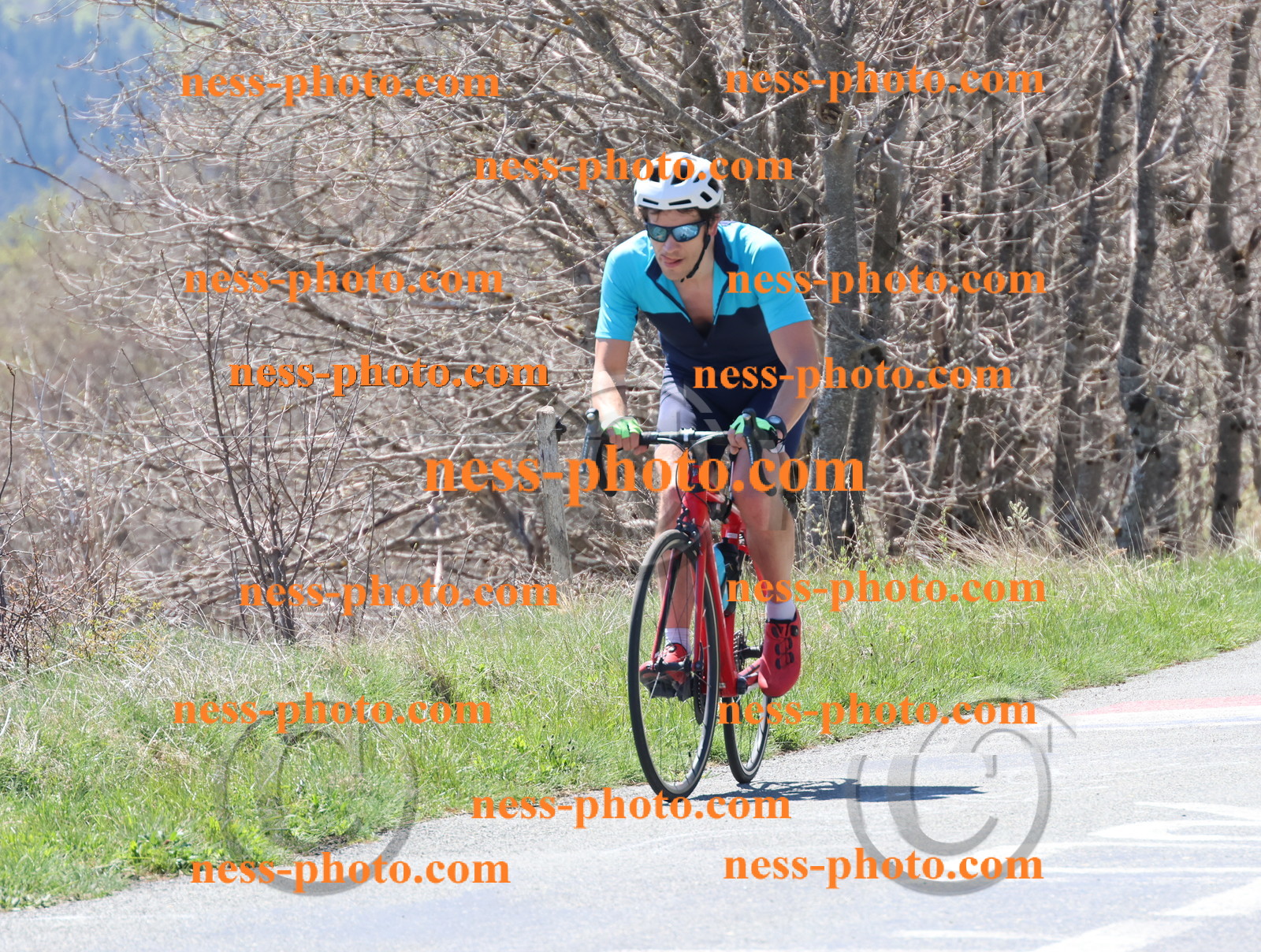 Col du Grand Colombier (318).JPG