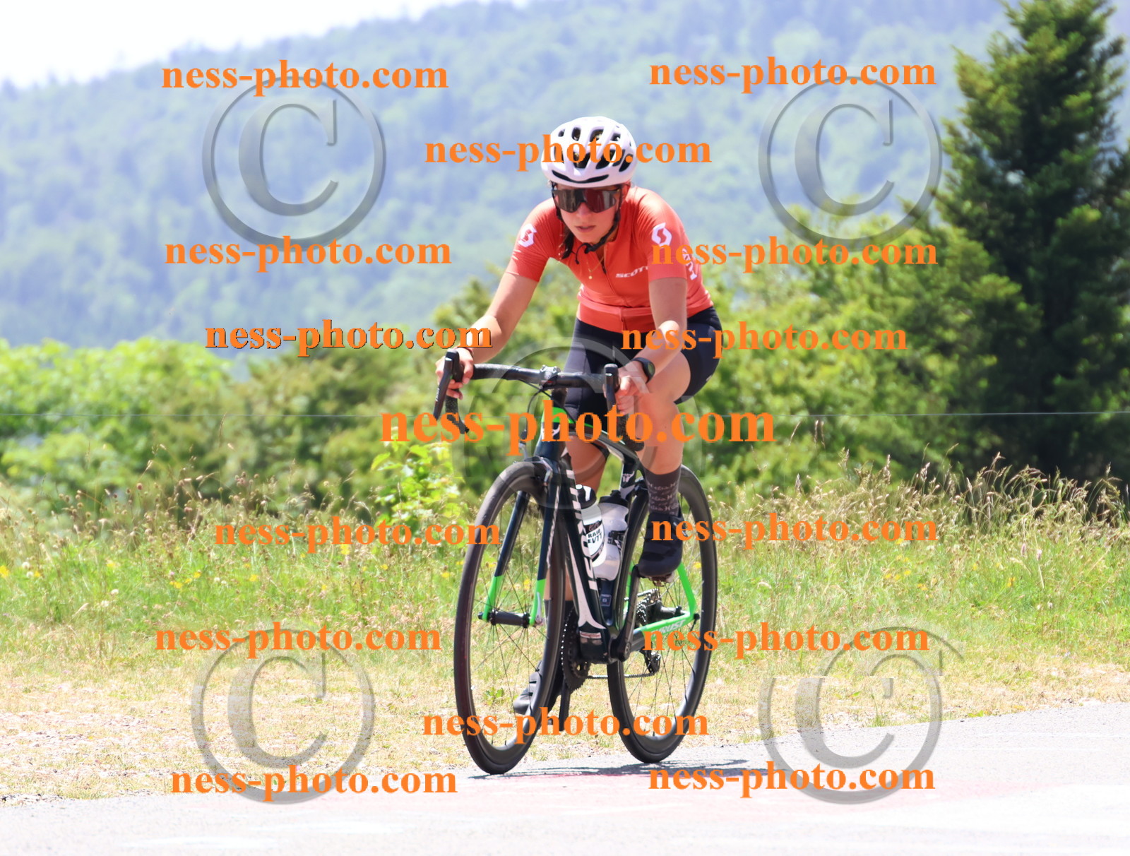 Col du grand Colombier (2717).JPG