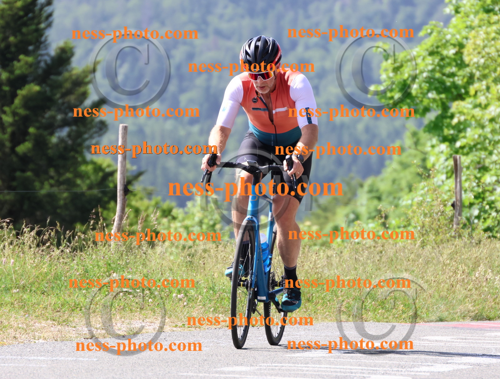 Col du grand Colombier (958).JPG