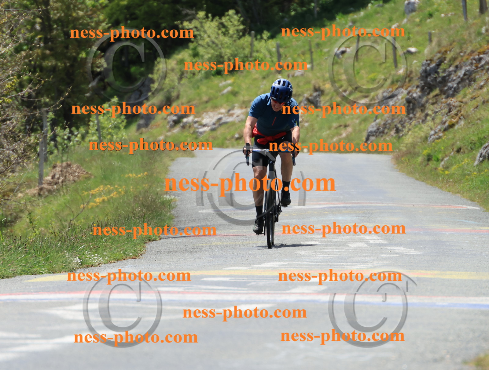 Col du Grand Colombier (359).JPG