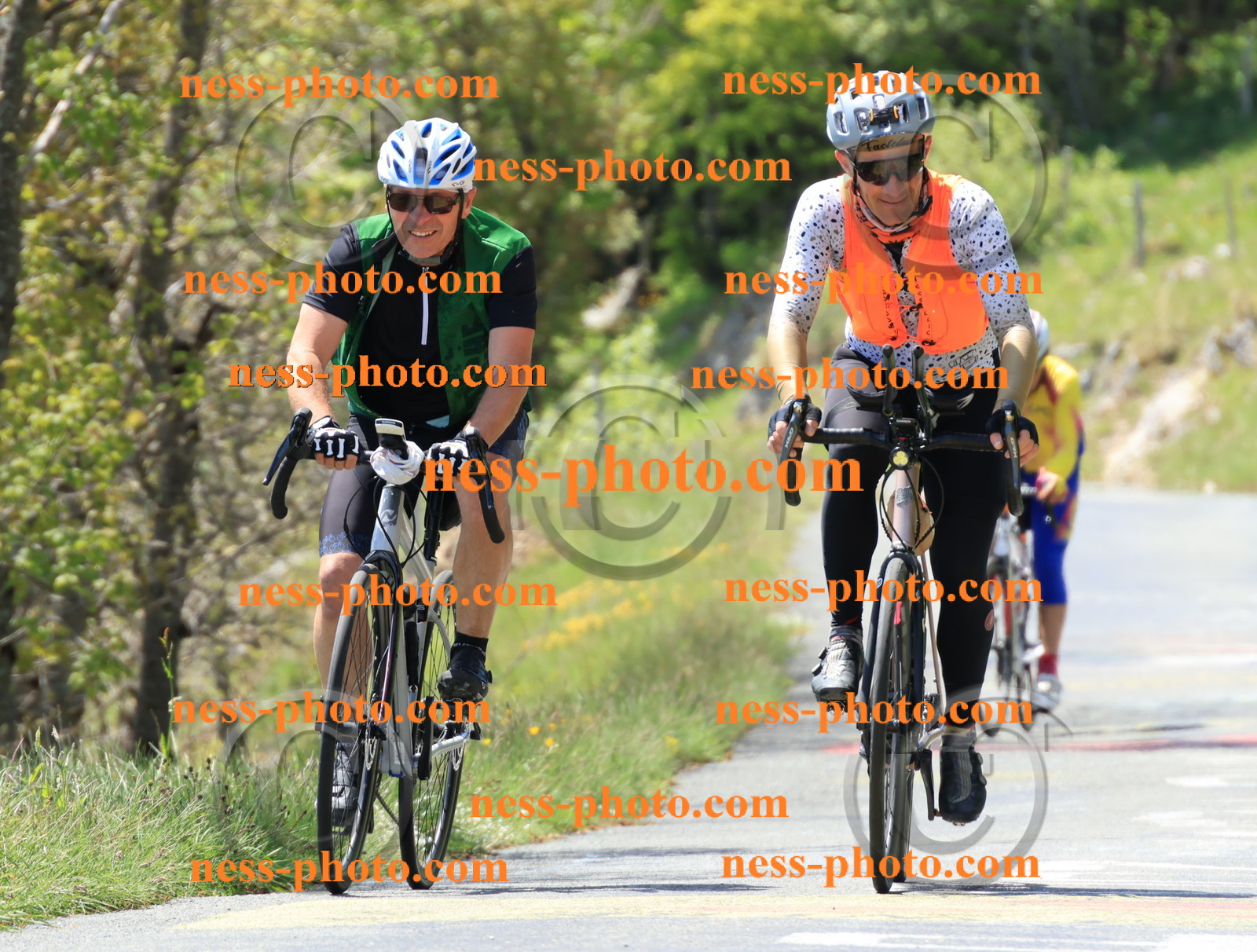 Col du Grand Colombier (136).JPG